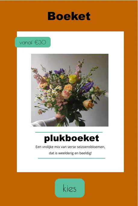 kies Boeket  vanaf €30 plukboeket Een vrolijke mix van verse seizoensbloemen, dat is weelderig en beeldig!