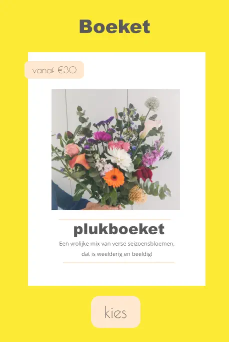 kies Boeket  vanaf €30 plukboeket Een vrolijke mix van verse seizoensbloemen, dat is weelderig en beeldig!